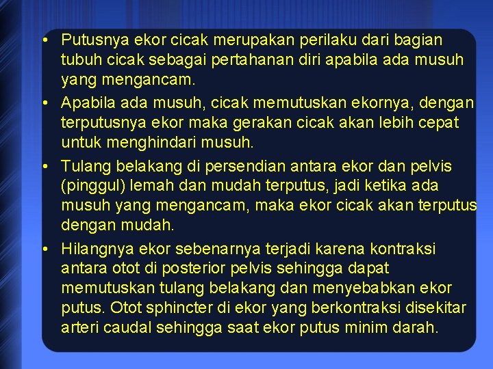  • Putusnya ekor cicak merupakan perilaku dari bagian tubuh cicak sebagai pertahanan diri