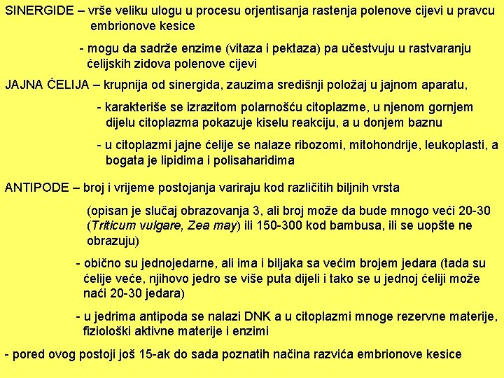 SINERGIDE – vrše veliku ulogu u procesu orjentisanja rastenja polenove cijevi u pravcu embrionove