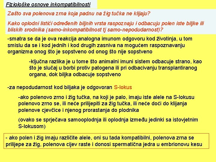 Fiziološke osnove inkompatibilnosti Zašto sva polenova zrna koja padnu na žig tučka ne klijaju?