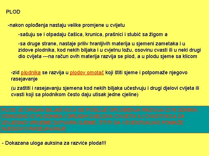 PLOD -nakon oplođenja nastaju velike promjene u cvijetu -sašuju se i otpadaju čašica, krunica,