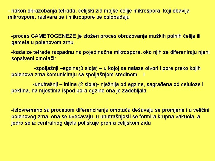 - nakon obrazobanja tetrada, ćelijski zid majke ćelije mikrospora, koji obavija mikrospore, rastvara se