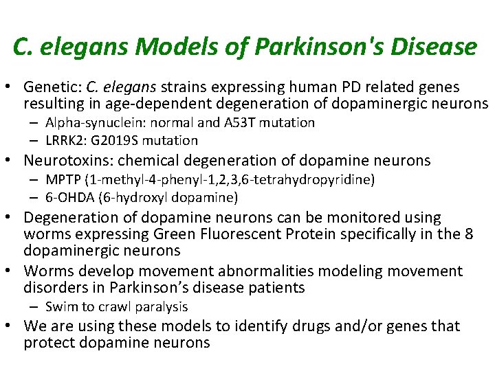 C. elegans Models of Parkinson's Disease • Genetic: C. elegans strains expressing human PD