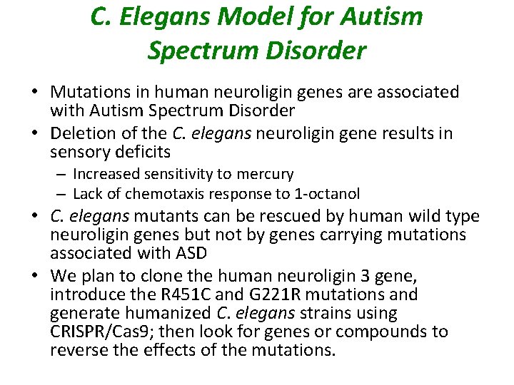 C. Elegans Model for Autism Spectrum Disorder • Mutations in human neuroligin genes are