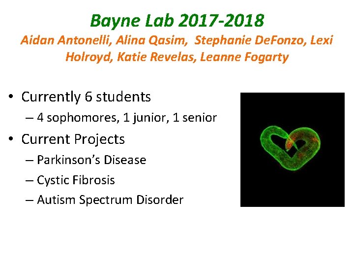 Bayne Lab 2017 -2018 Aidan Antonelli, Alina Qasim, Stephanie De. Fonzo, Lexi Holroyd, Katie