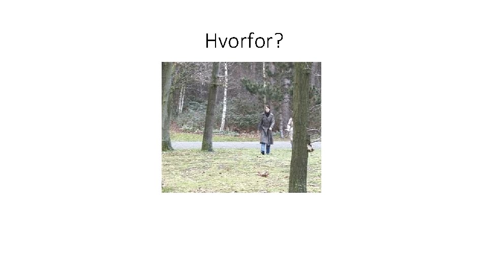 Hvorfor? 