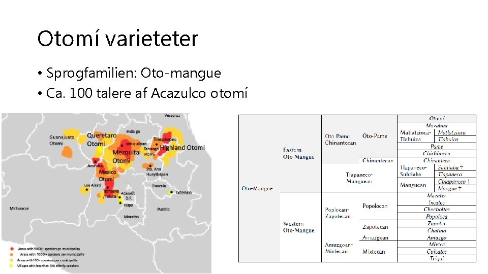 Otomí varieteter • Sprogfamilien: Oto-mangue • Ca. 100 talere af Acazulco otomí 