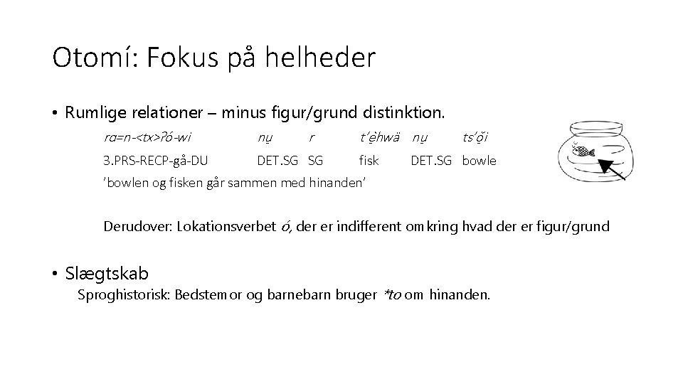 Otomí: Fokus på helheder • Rumlige relationer – minus figur/grund distinktion. rɑ=n-<tx>ʔó-wi nu r