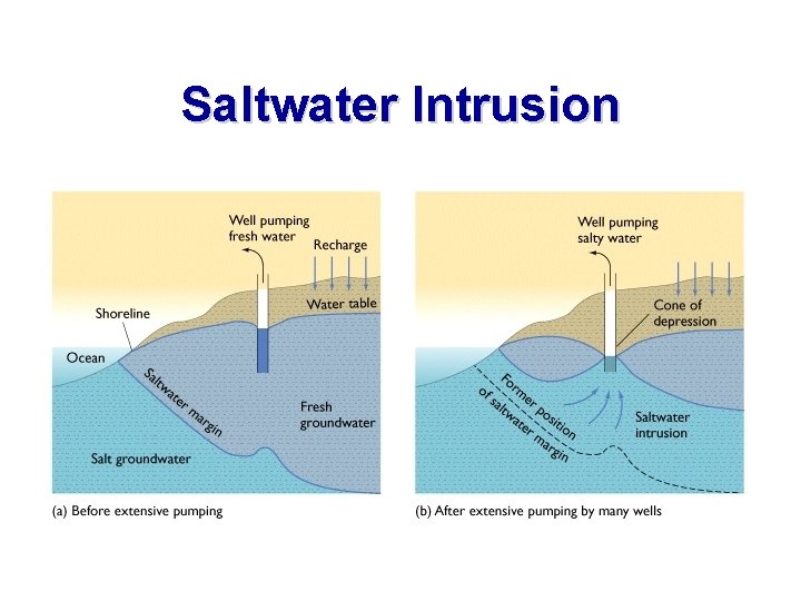 Saltwater Intrusion 