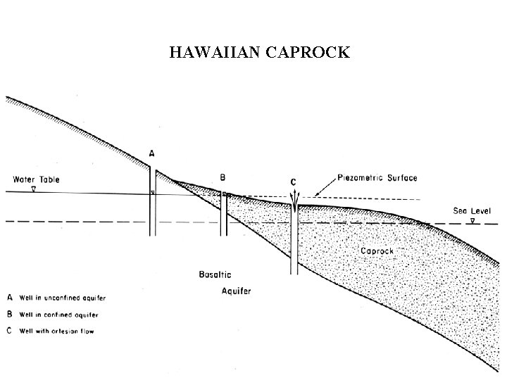 HAWAIIAN CAPROCK 
