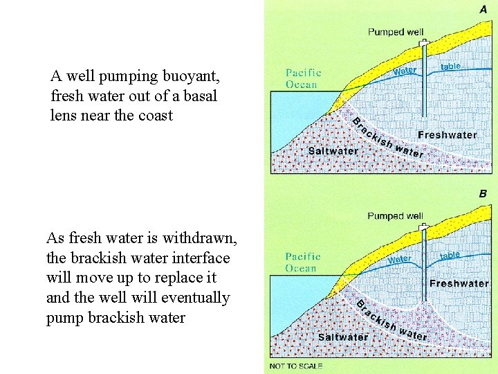 A well pumping buoyant, fresh water out of a basal lens near the coast