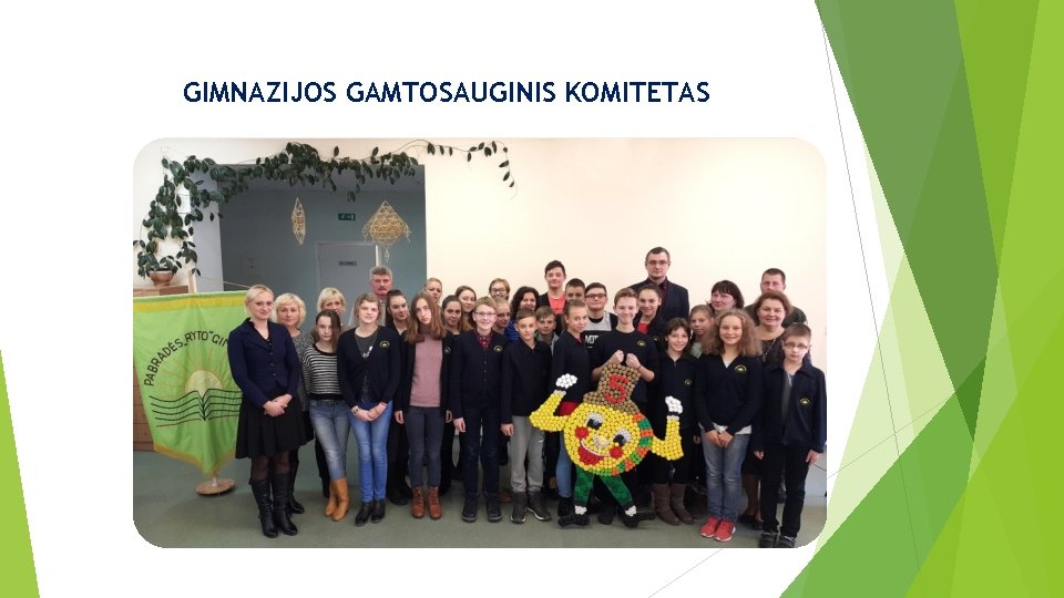 GIMNAZIJOS GAMTOSAUGINIS KOMITETAS 