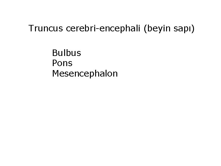 Truncus cerebri-encephali (beyin sapı) Bulbus Pons Mesencephalon 