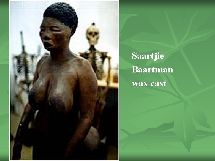 Saartjie Baartman wax cast 