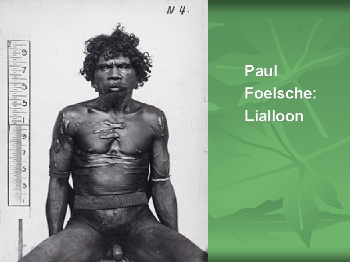 Paul Foelsche: Lialloon 