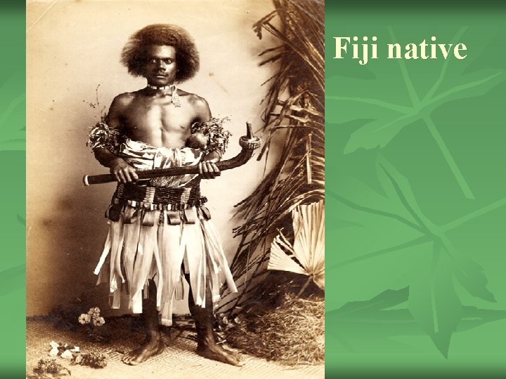 Fiji native 