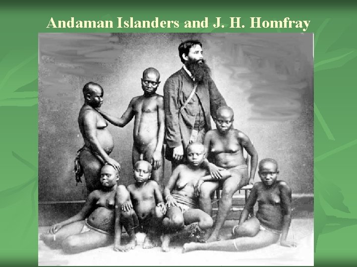 Andaman Islanders and J. H. Homfray 