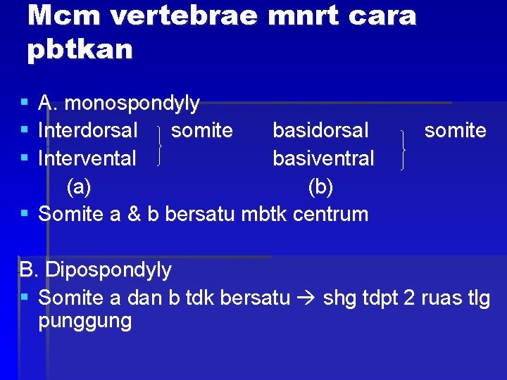 Mcm vertebrae mnrt cara pbtkan § § § A. monospondyly Interdorsal somite basidorsal Intervental