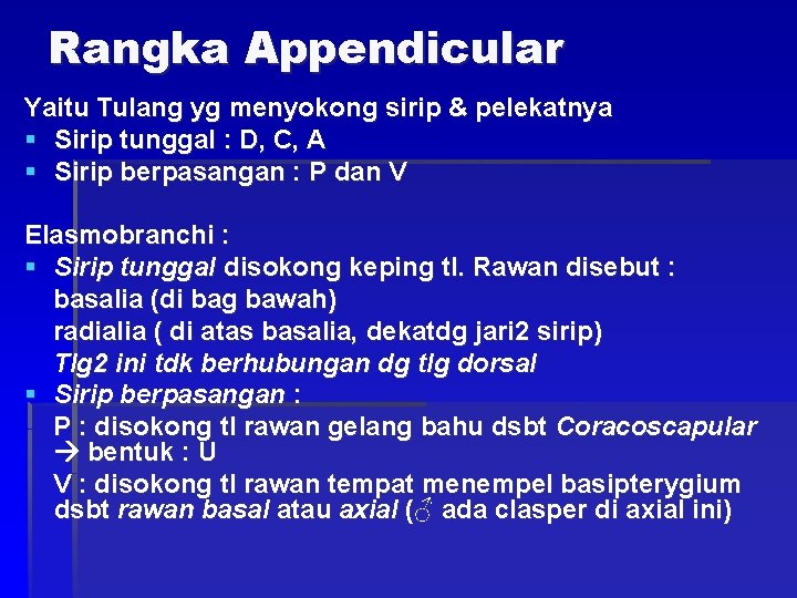 Rangka Appendicular Yaitu Tulang yg menyokong sirip & pelekatnya § Sirip tunggal : D,