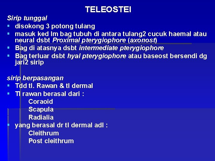 TELEOSTEI Sirip tunggal § disokong 3 potong tulang § masuk ked lm bag tubuh