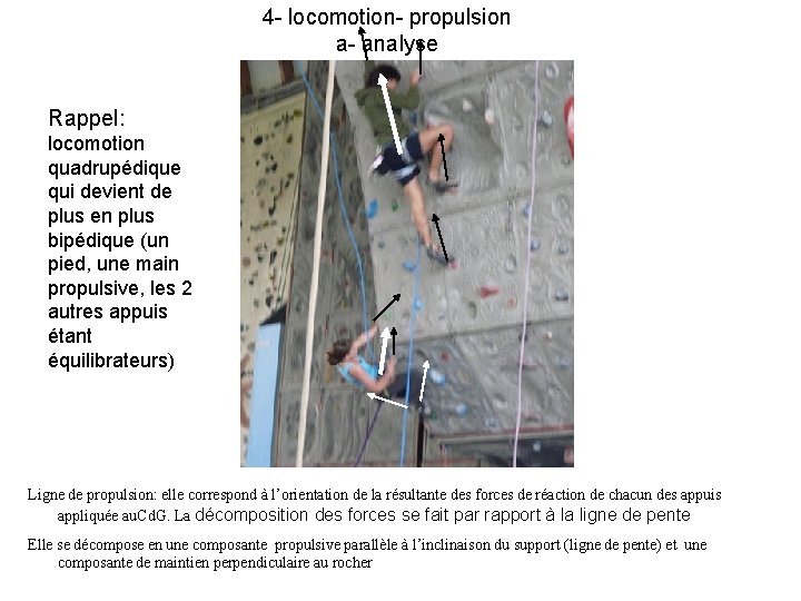 4 - locomotion- propulsion a- analyse Rappel: locomotion quadrupédique qui devient de plus en