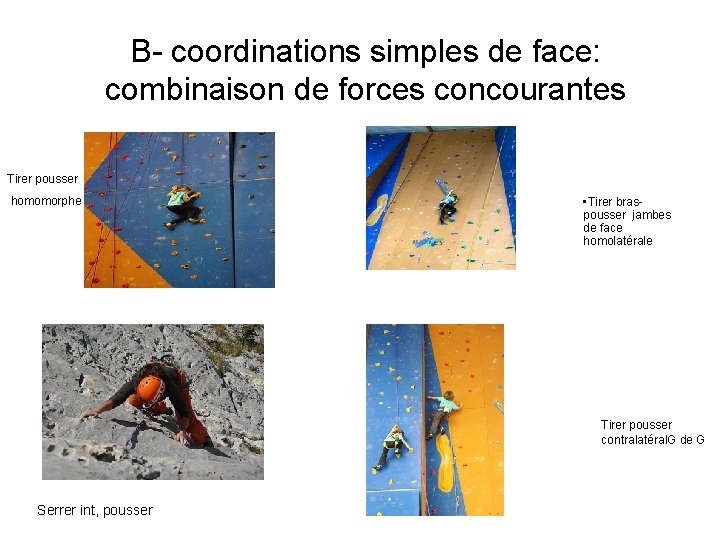 B- coordinations simples de face: combinaison de forces concourantes Tirer pousser homomorphe • Tirer
