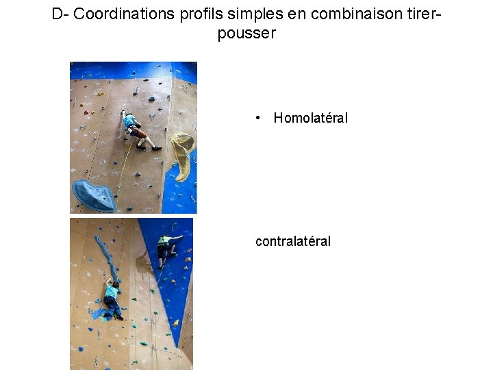 D- Coordinations profils simples en combinaison tirerpousser • Homolatéral contralatéral 