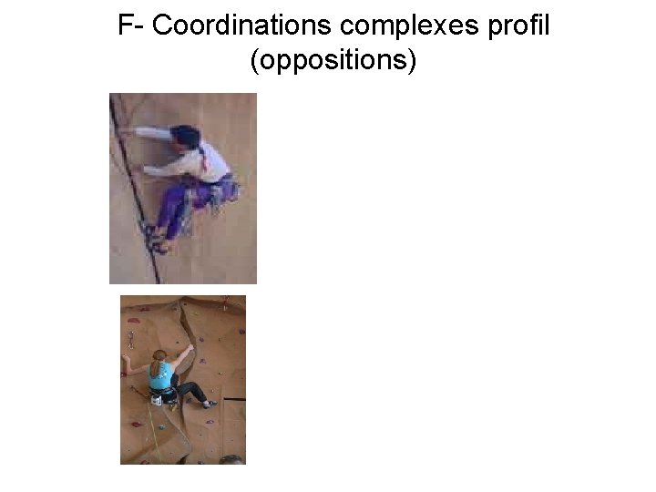 F- Coordinations complexes profil (oppositions) 