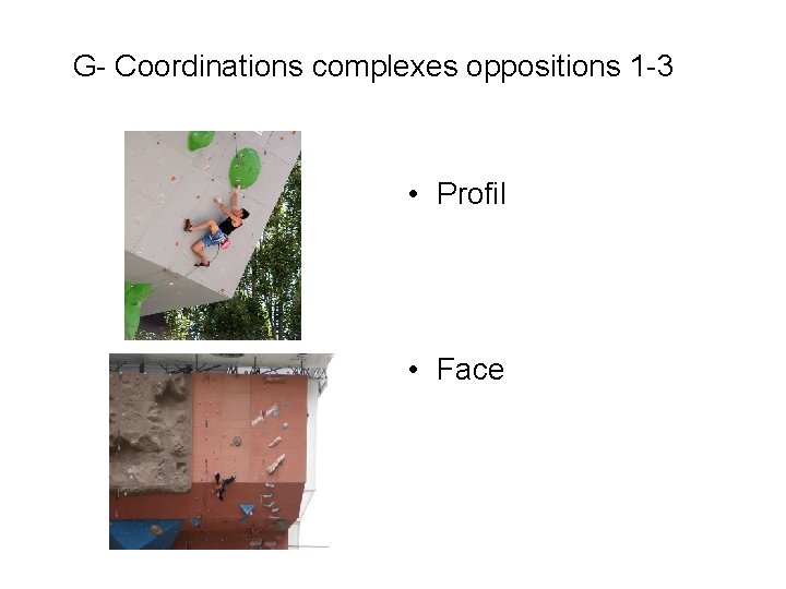 G- Coordinations complexes oppositions 1 -3 • Profil • Face 