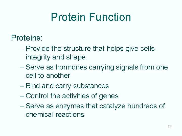 Protein Function Proteins: – Provide the structure that helps give cells integrity and shape