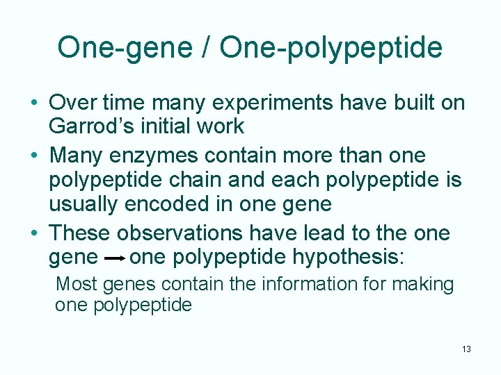 One-gene / One-polypeptide • Over time many experiments have built on Garrod’s initial work