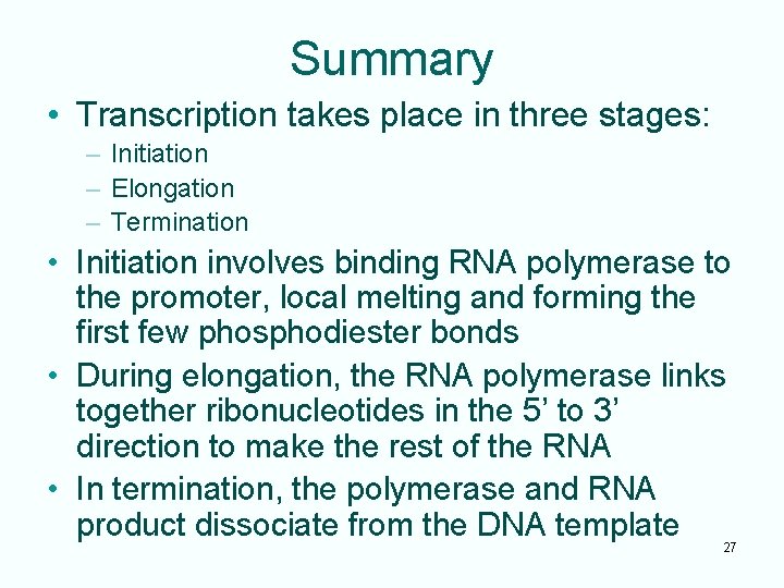 Summary • Transcription takes place in three stages: – Initiation – Elongation – Termination