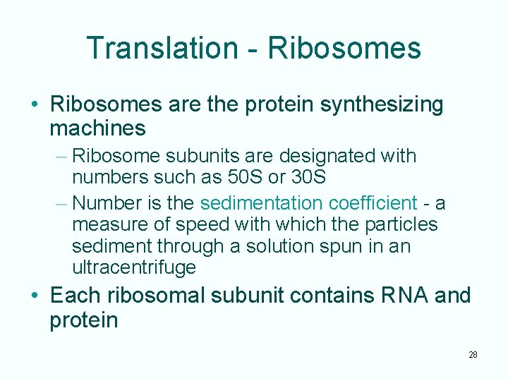 Translation - Ribosomes • Ribosomes are the protein synthesizing machines – Ribosome subunits are