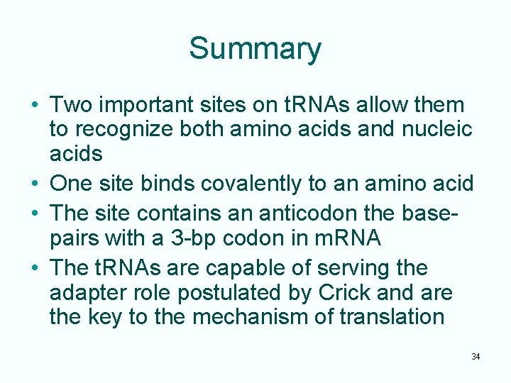 Summary • Two important sites on t. RNAs allow them to recognize both amino