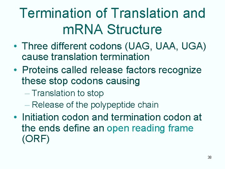 Termination of Translation and m. RNA Structure • Three different codons (UAG, UAA, UGA)