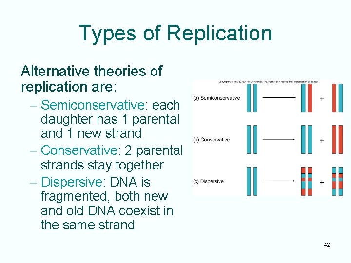 Types of Replication Alternative theories of replication are: – Semiconservative: each daughter has 1