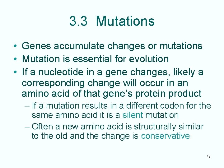 3. 3 Mutations • Genes accumulate changes or mutations • Mutation is essential for