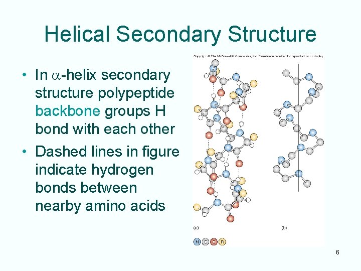 Helical Secondary Structure • In a-helix secondary structure polypeptide backbone groups H bond with