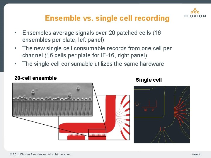 Ensemble vs. single cell recording • Ensembles average signals over 20 patched cells (16