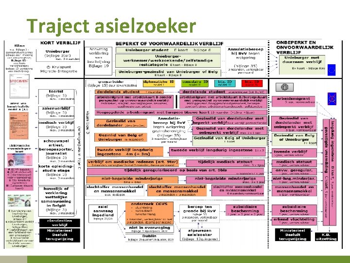 Traject asielzoeker 