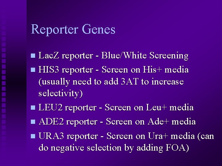 Reporter Genes Lac. Z reporter - Blue/White Screening n HIS 3 reporter - Screen