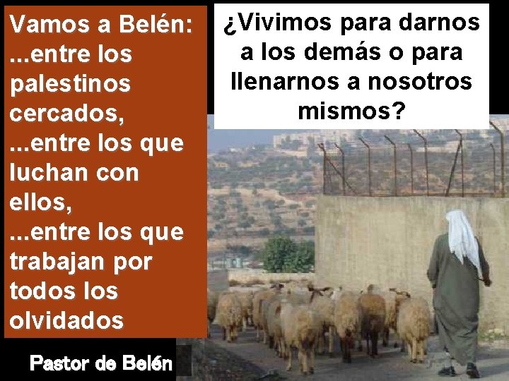 Vamos a Belén: . . . entre los palestinos cercados, . . . entre