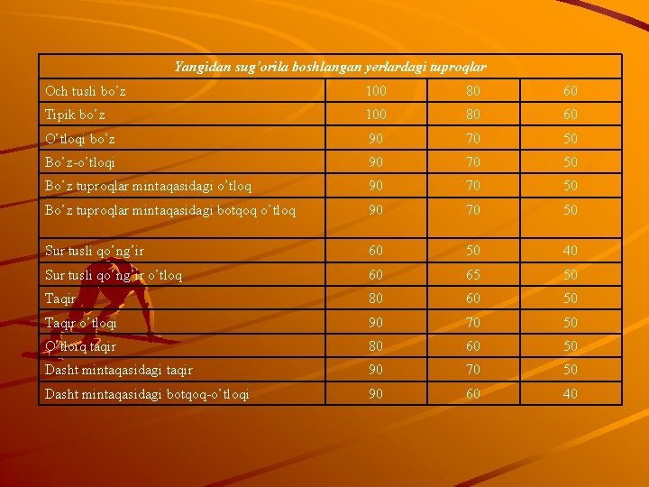 Yangidan sug’orila boshlangan yerlardagi tuproqlar Och tusli bo’z 100 80 60 Tipik bo’z 100