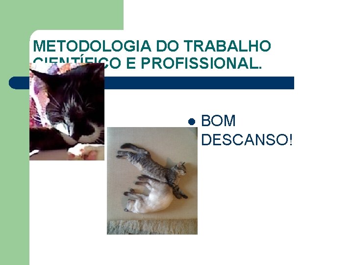 METODOLOGIA DO TRABALHO CIENTÍFICO E PROFISSIONAL. l BOM DESCANSO! 