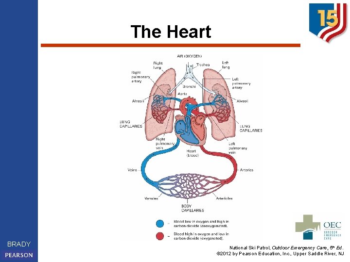 The Heart BRADY National Ski Patrol, Outdoor Emergency Care, 5 th Ed. © 2012