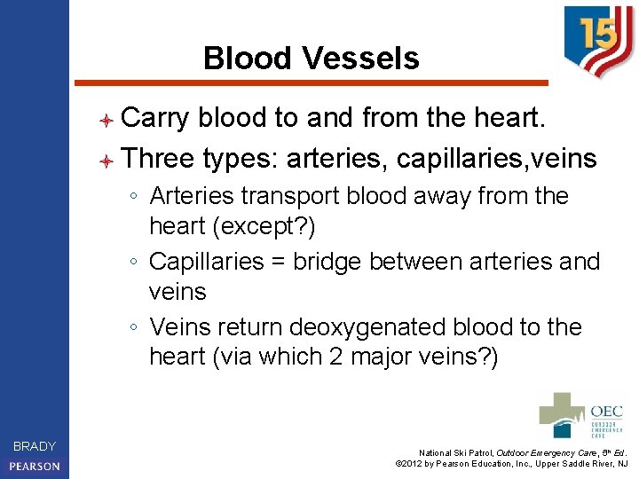 Blood Vessels l Carry blood to and from the heart. l Three types: arteries,