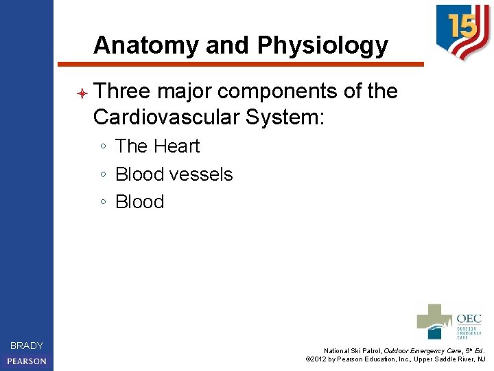 Anatomy and Physiology l Three major components of the Cardiovascular System: ◦ The Heart