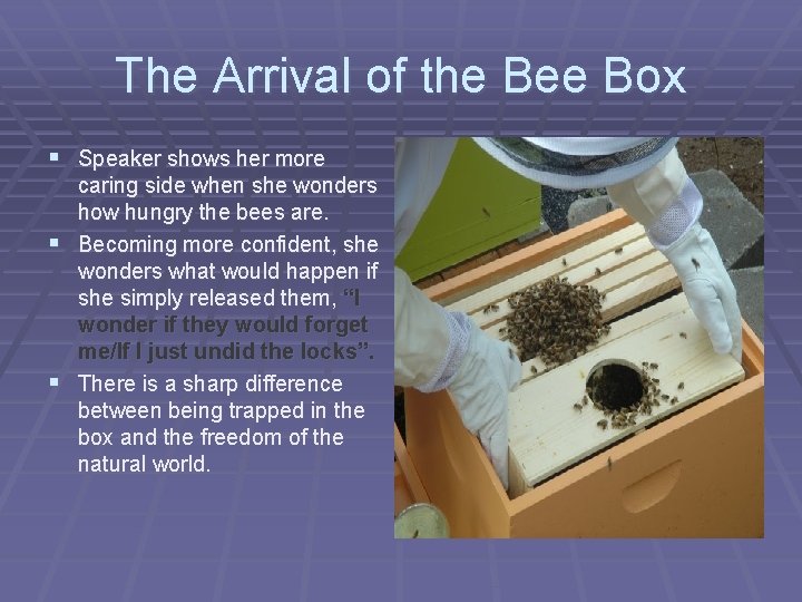 The Arrival of the Bee Box § Speaker shows her more caring side when