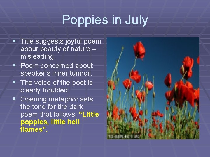 Poppies in July § Title suggests joyful poem about beauty of nature – misleading.