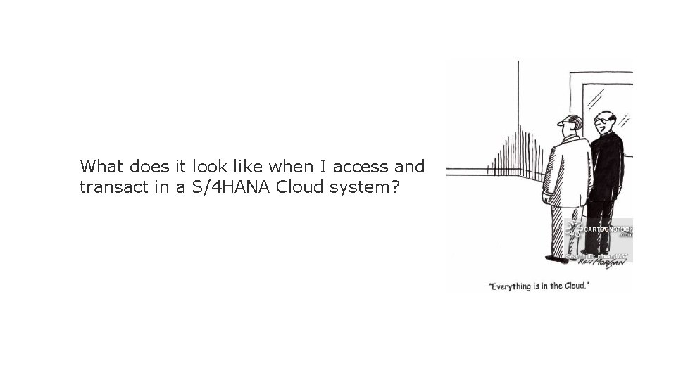 What does it look like when I access and transact in a S/4 HANA