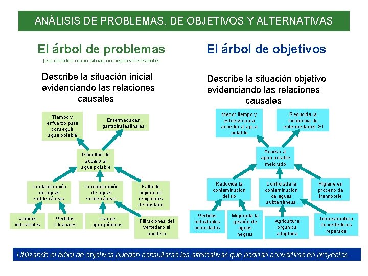 ANÁLISIS DE PROBLEMAS, DE OBJETIVOS Y ALTERNATIVAS El árbol de problemas El árbol de